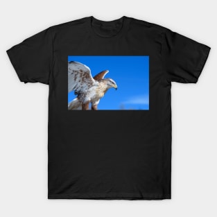 Freedom Dreams T-Shirt